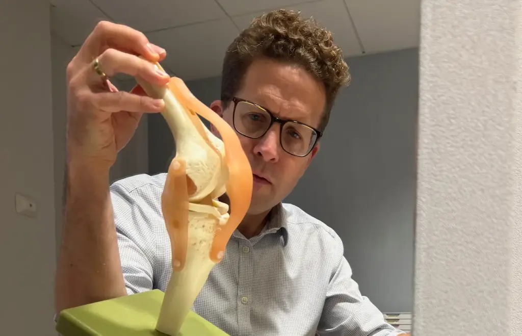 Patella Stabilisation