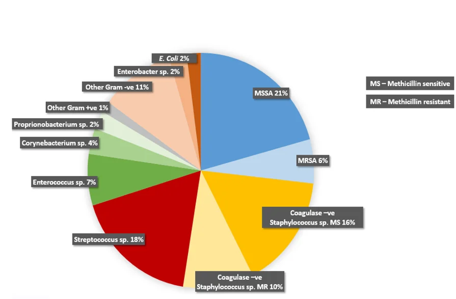Piechart